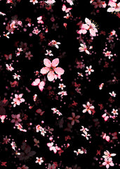 Butterfly Sakuras Crop Top